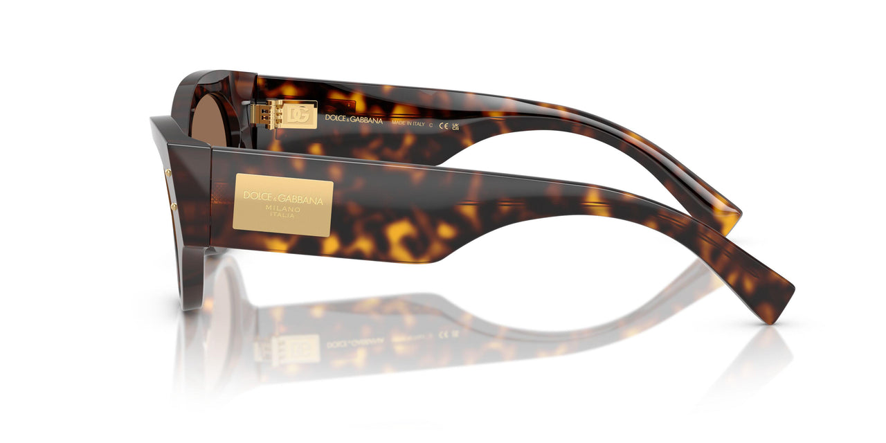 502/73 - Tortoise - Dark Brown