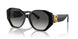 50018G - Black - Grey Gradient