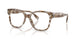 2026 - Brown