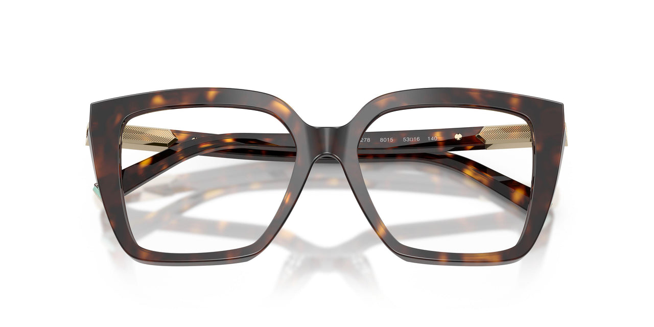8015 - Tortoise