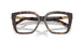 8015 - Tortoise