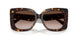 500213 - Tortoise - Gradient Brown