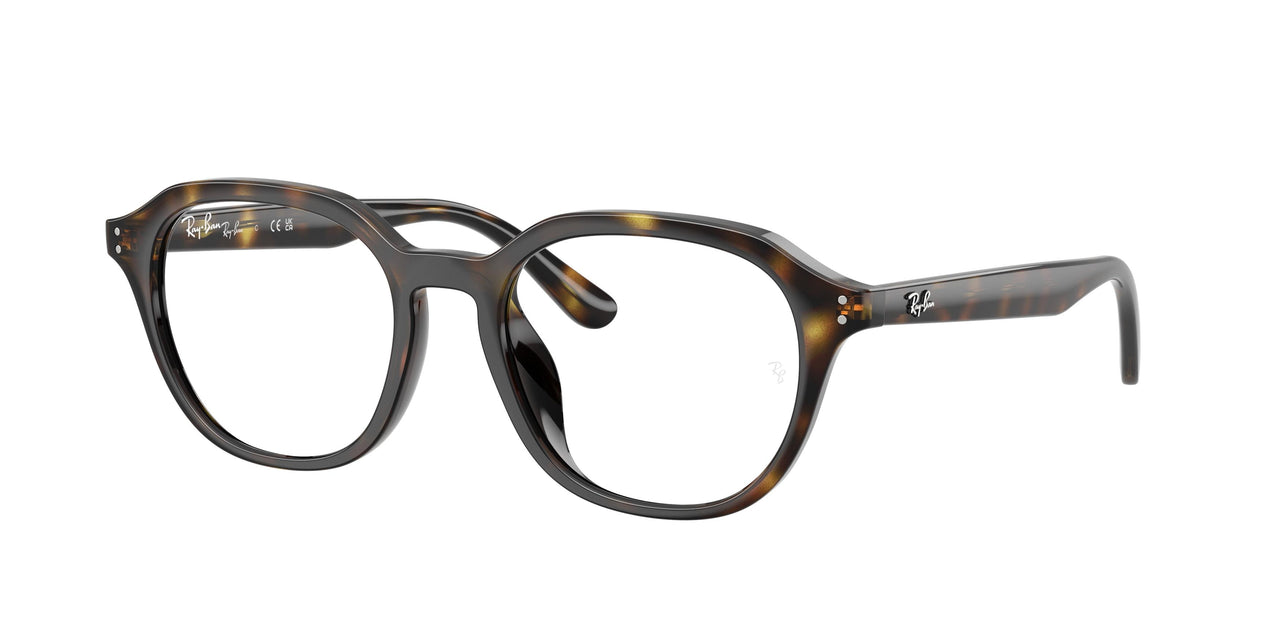 Ray-Ban 7259D Eyeglasses