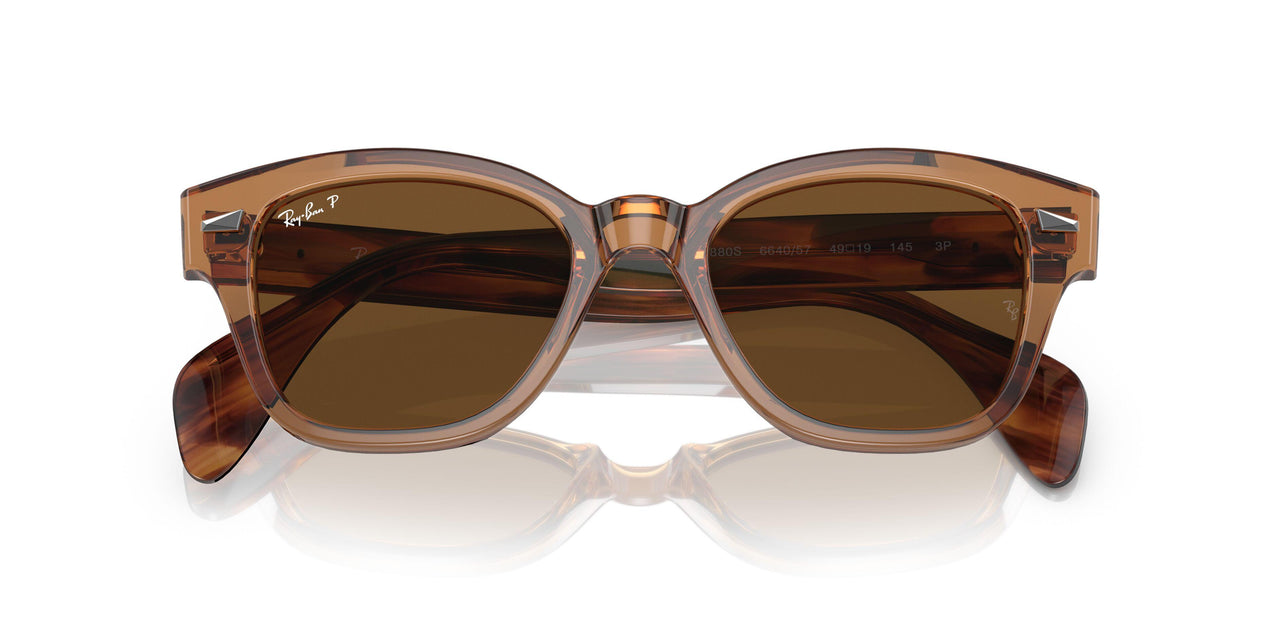 664057 - Brown - Brown Polar