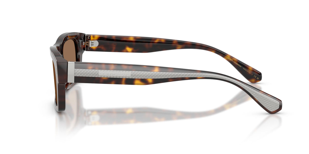 502/73 - Tortoise - Dark Brown