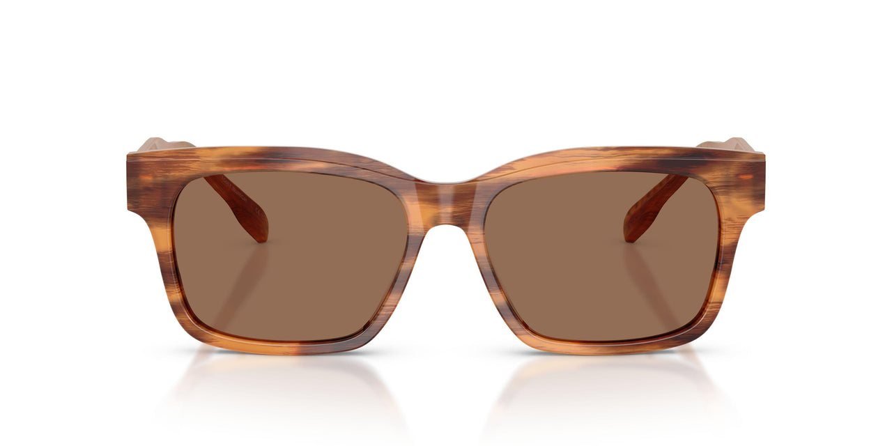 192573 - Tortoise - Dark Brown