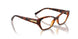 W656 - Brown