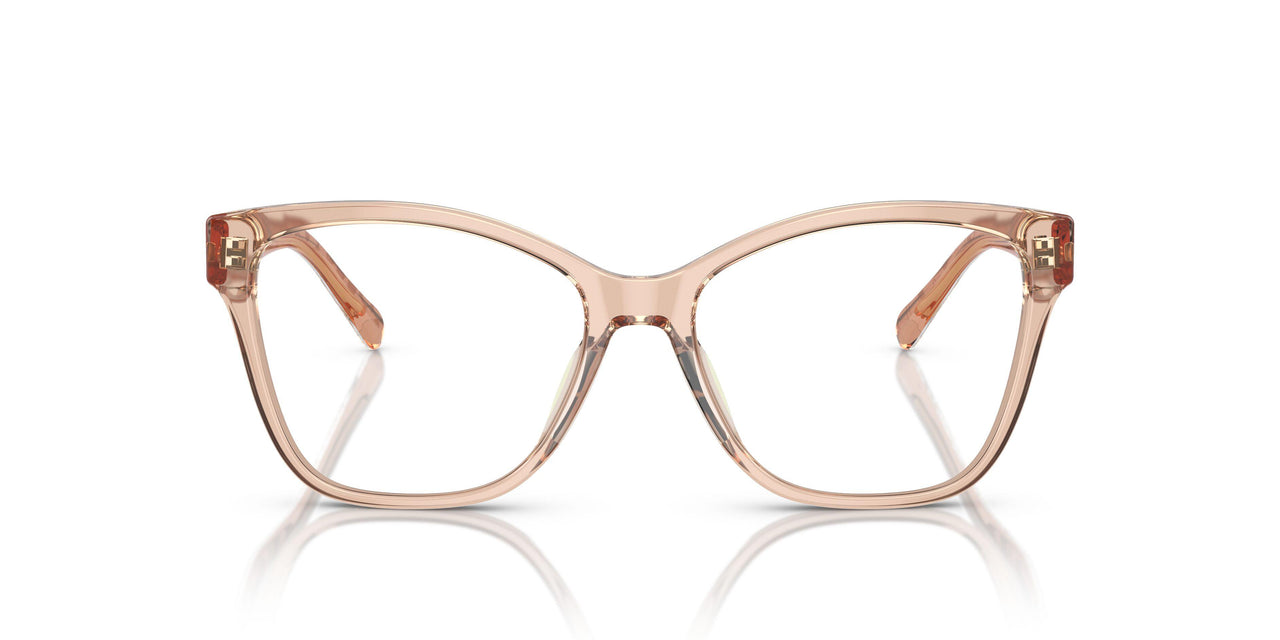 5561 - Brown