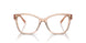 5561 - Brown