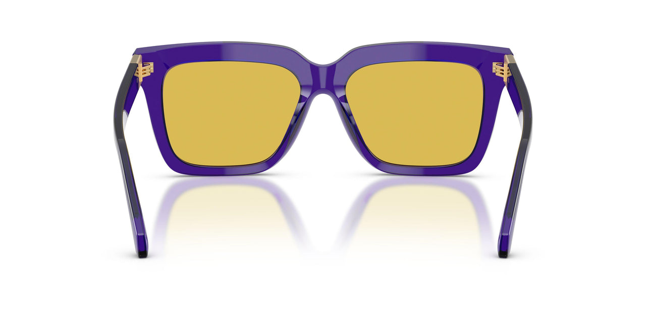 554585 - Violet - Yellow