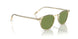 109452 - Yellow - Green C