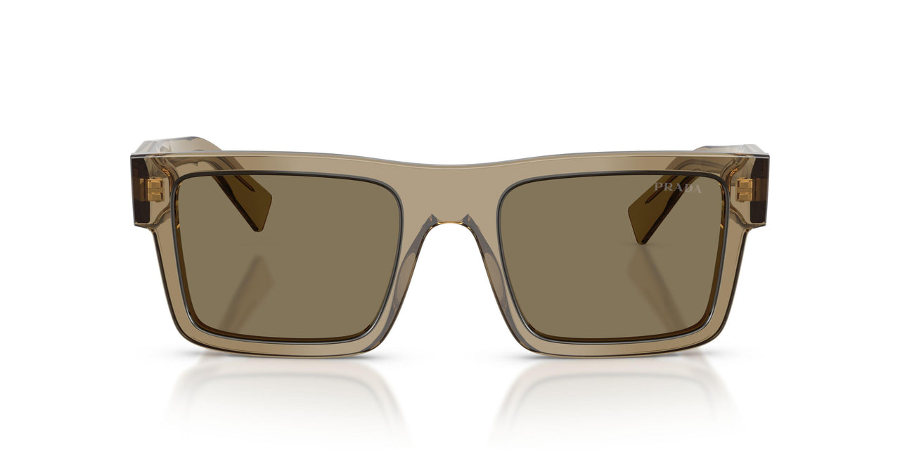 29E90F - Brown - Terra Bio