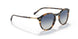 28194L - Havana - Grey Gradient Blue