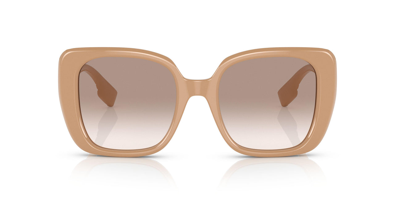 399013 - Brown - Brown Gradient