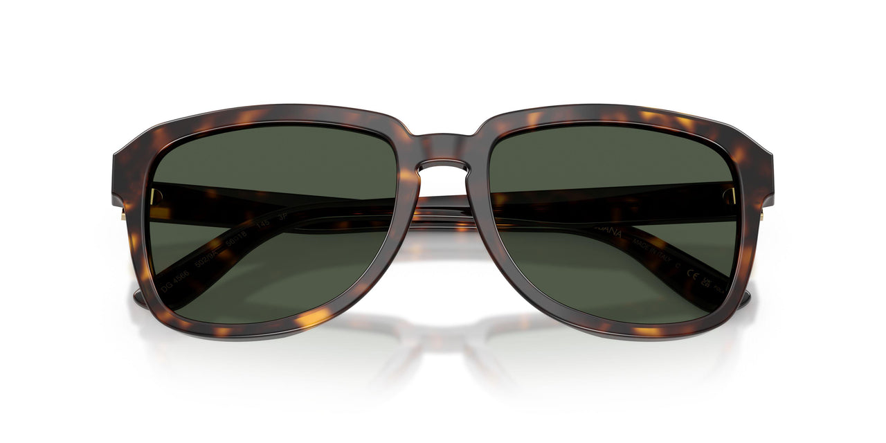 502/9A - Tortoise - Dark Green Polarized