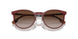 401813 - Red - Brown Gradient