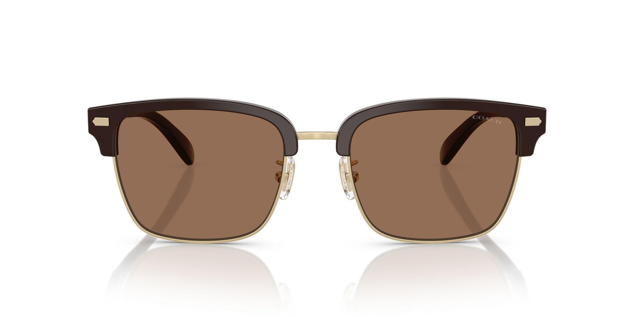 554273 - Gold - Brown Solid