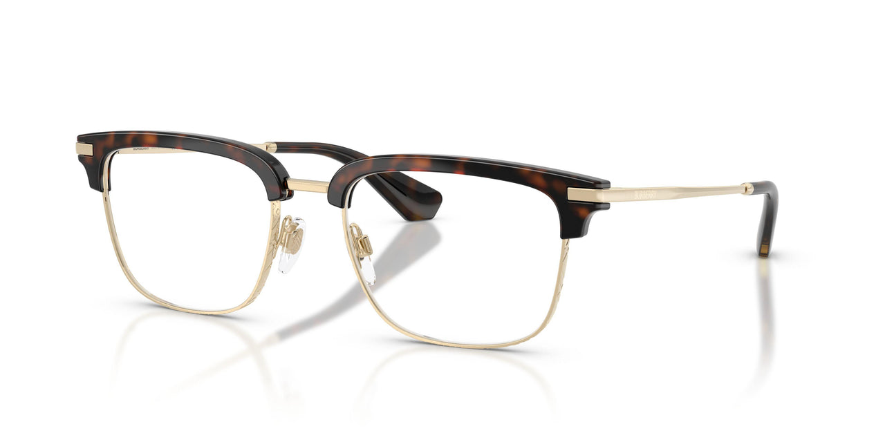 3002 - Brown