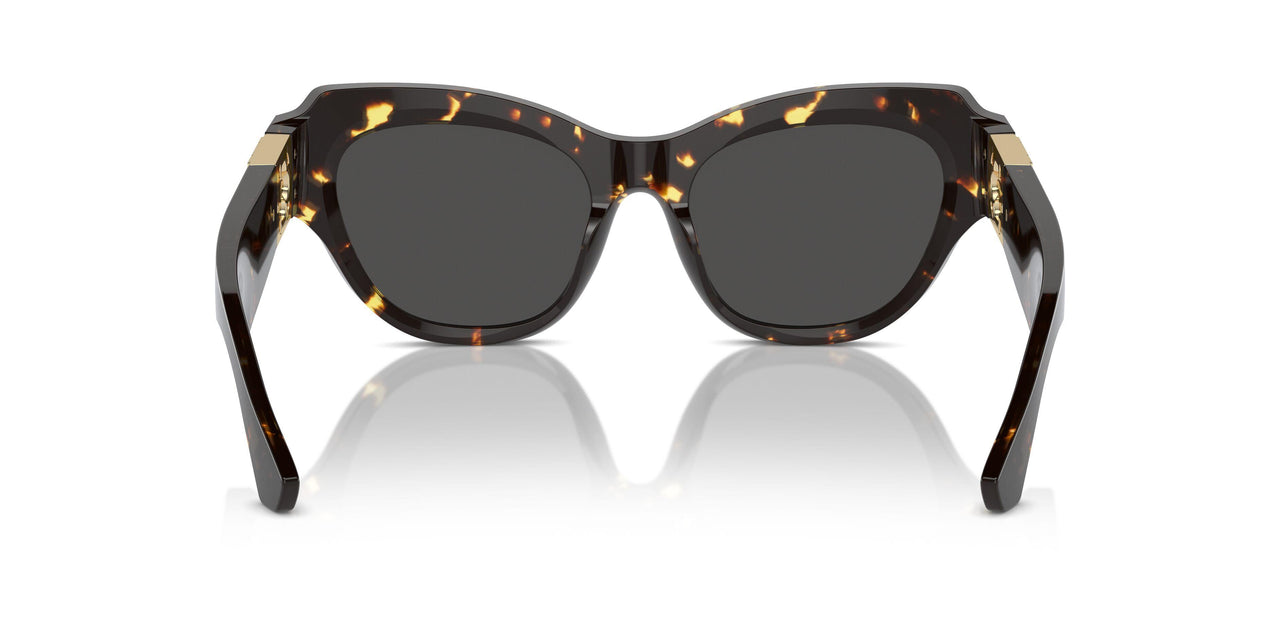 410687 - Brown - Dark Grey