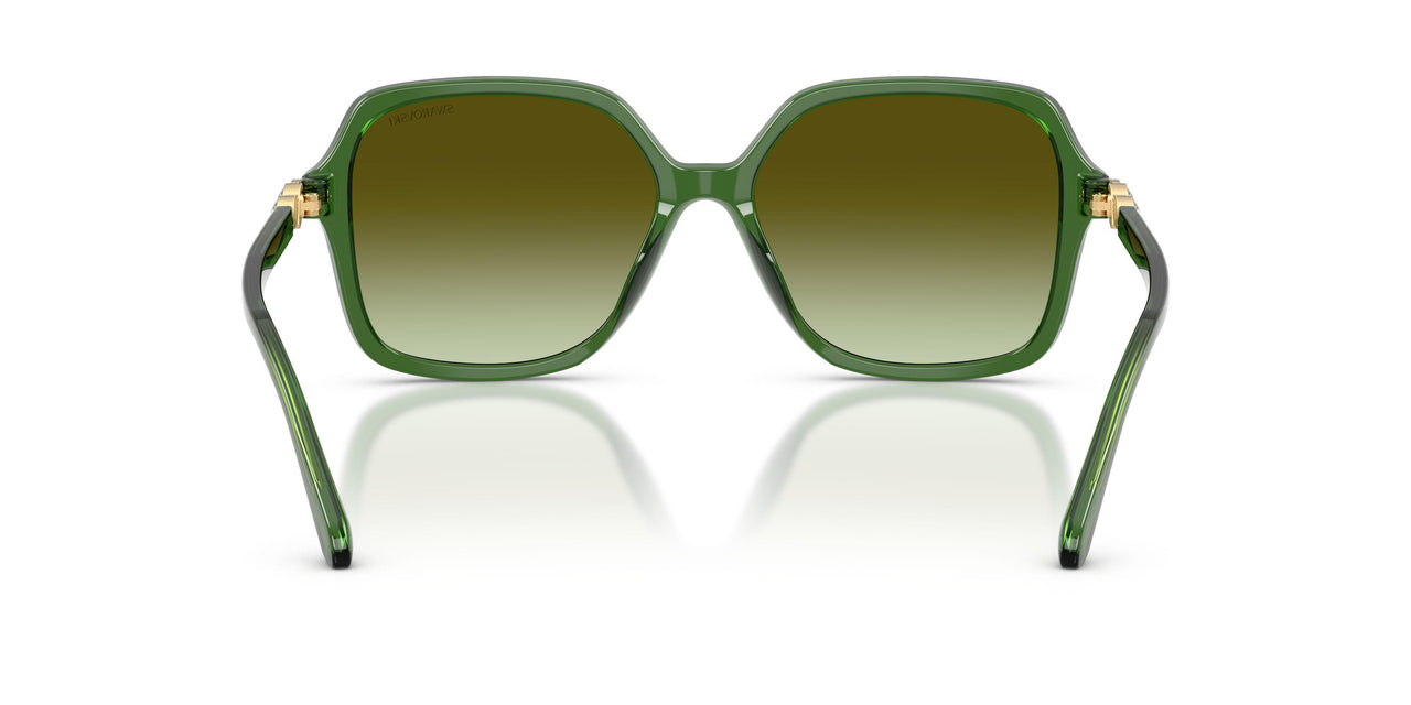 1081E8 - Green - Green Gradient Brown