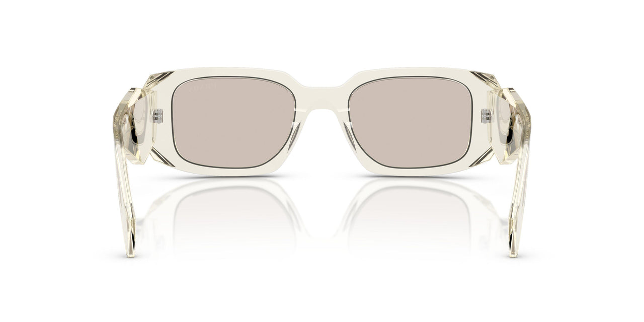 19X30N - Brown - Platino