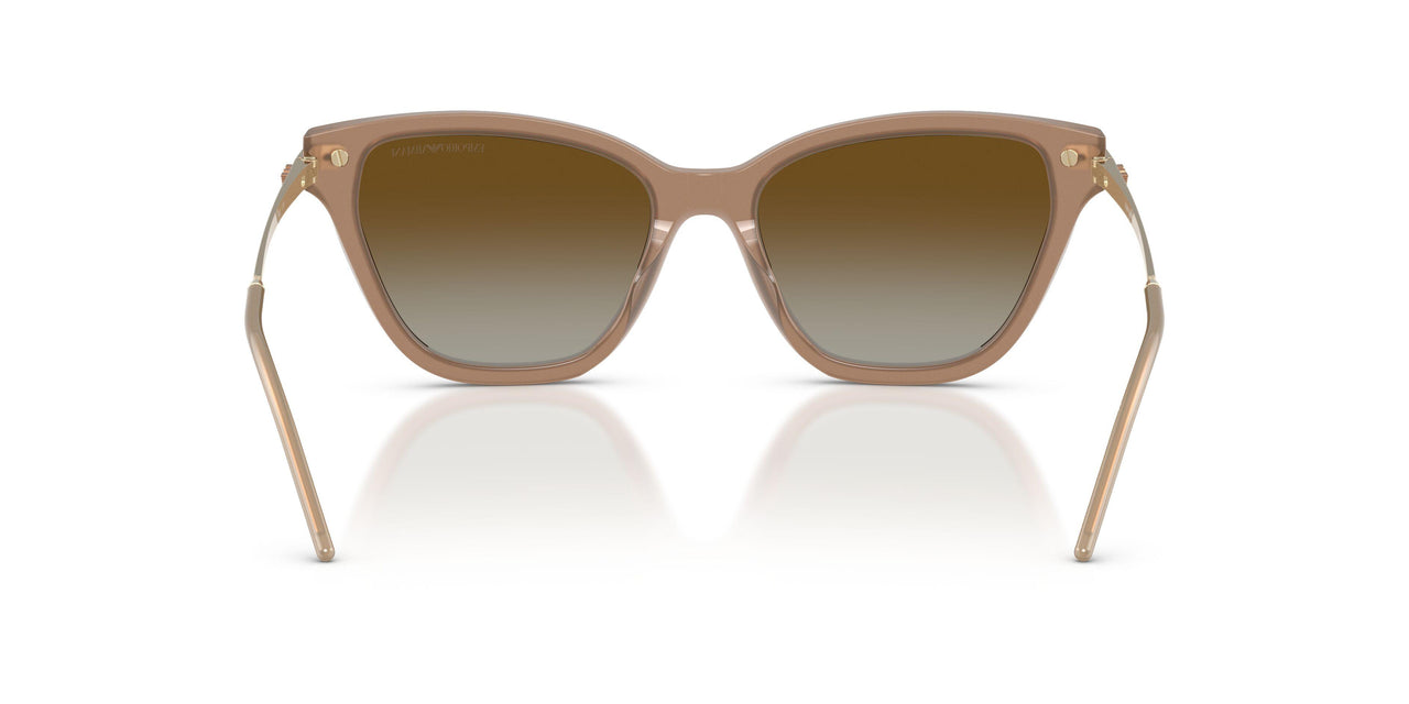 6263T5 - Brown - Gradient Brown Polar