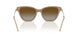 6263T5 - Brown - Gradient Brown Polar