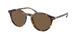 Polo 4193 Sunglasses