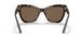 535973 - Havana - Dark Brown