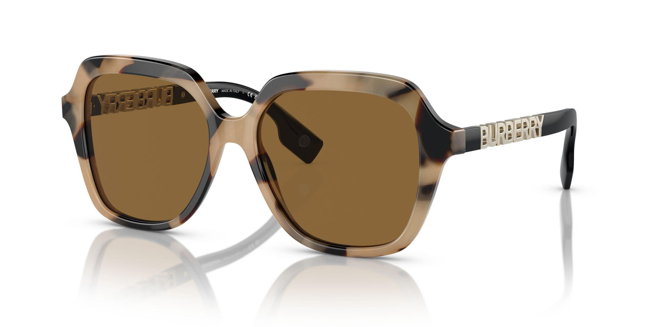 350173 - Brown - Bronze