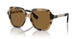 350173 - Brown - Bronze