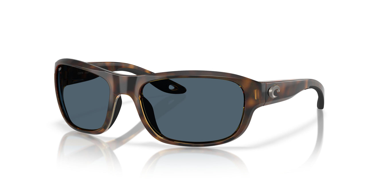 911910 - Tortoise - Gray