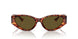 543773 - Tortoise - Dark Brown