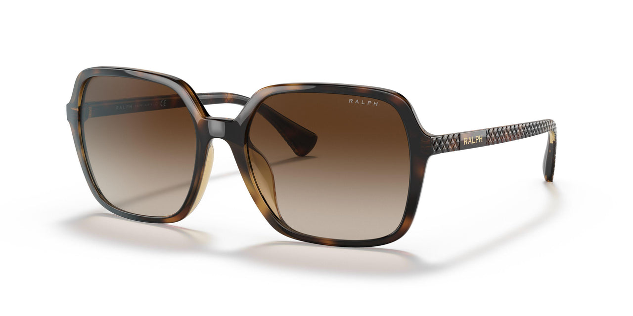500313 - Havana - Gradient Brown