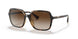 500313 - Havana - Gradient Brown
