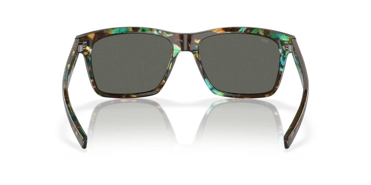 200506 - 204 Shiny Ocean Tortoise - Gray 580g