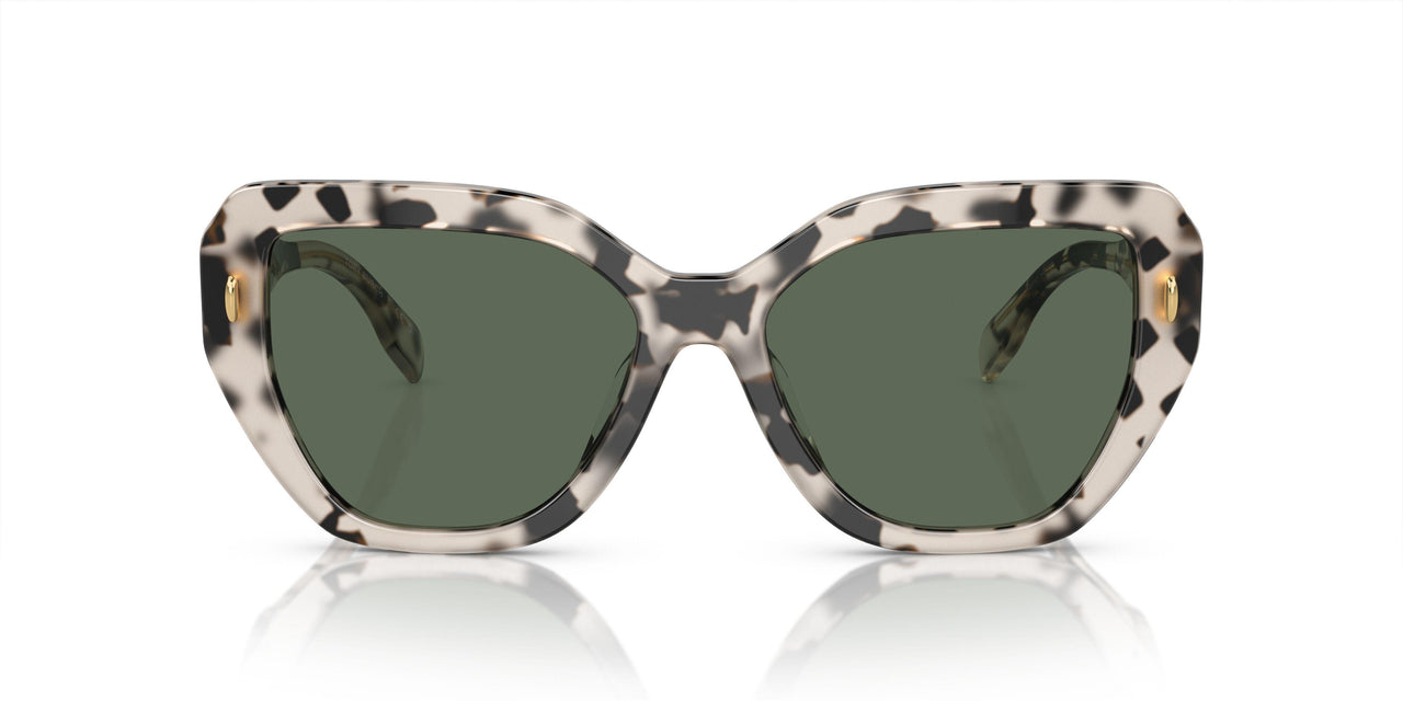 195171 - Tortoise - Dark Green