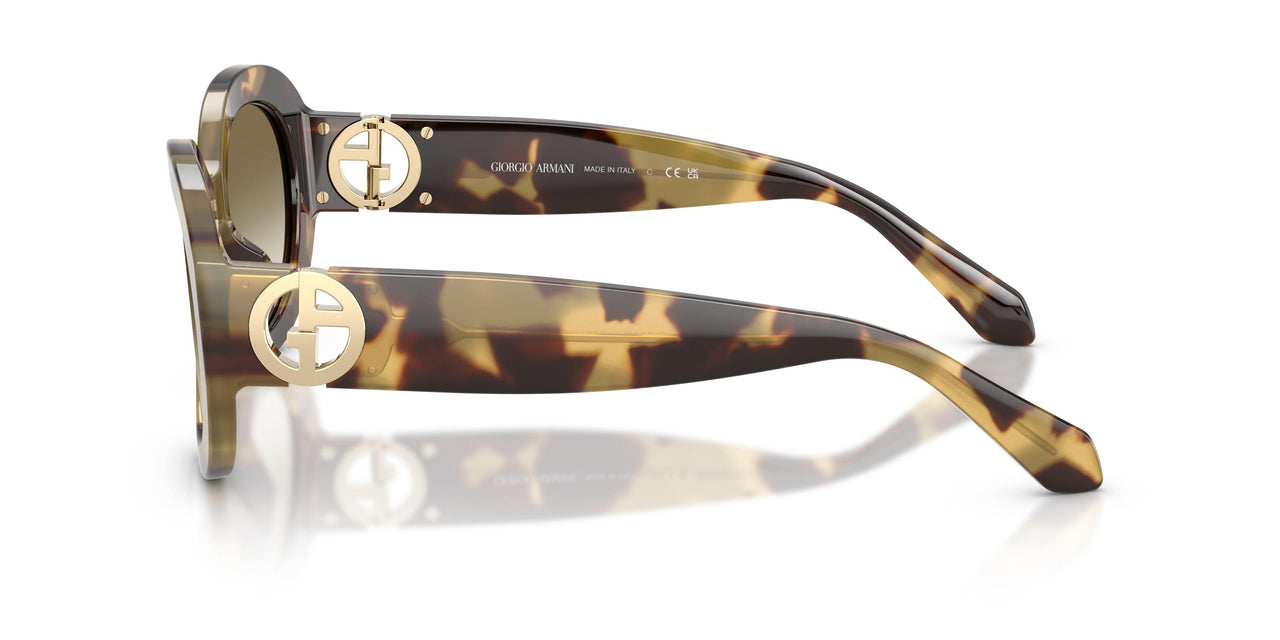 630113 - Tortoise - Brown Gradient