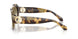 630113 - Tortoise - Brown Gradient
