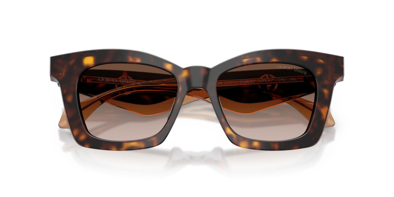 502613 - Tortoise - Brown Gradient