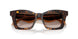 502613 - Tortoise - Brown Gradient