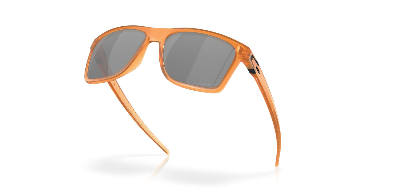 910019 - Brown - Prizm Black Polar