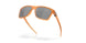 910019 - Brown - Prizm Black Polar