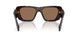 17N06B - Tortoise - Dark Brown