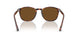 24/57 - Tortoise - Polarized Brown