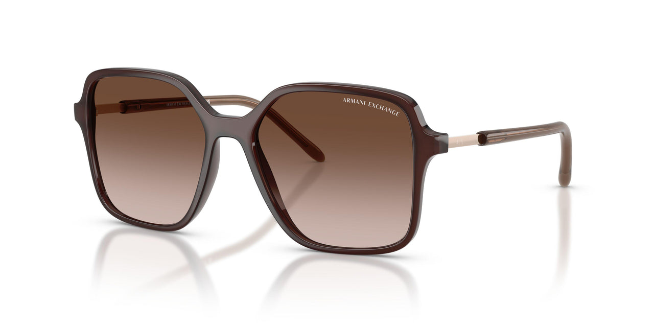 839613 - Brown - Brown Gradient
