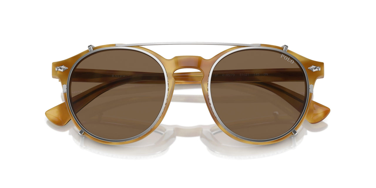 618573 - Tortoise - Brown