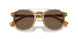 618573 - Tortoise - Brown