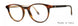 Valdo Rocco Eyeglasses