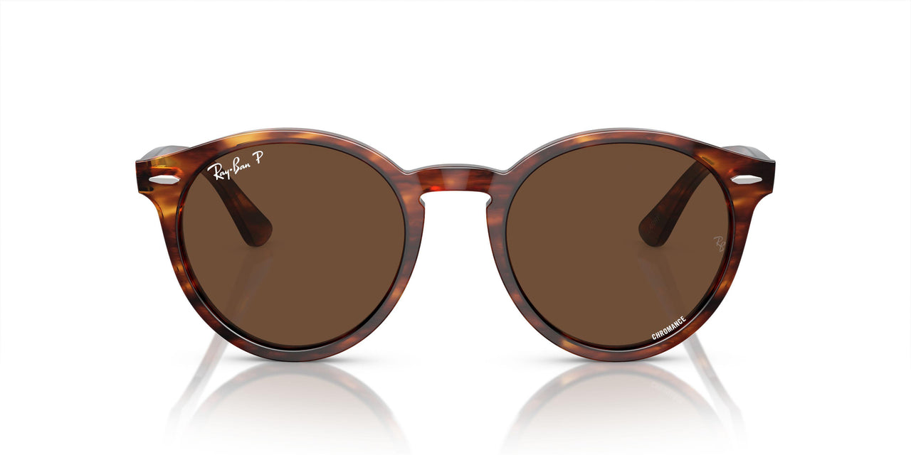 954/AN - Brown - Brown